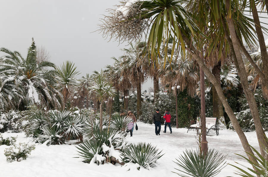 Погода в Сочи в январе: Что нужно знать туристам?!