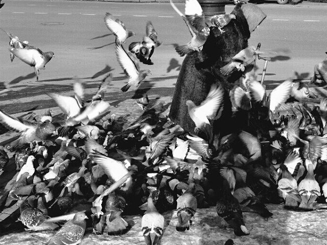 фото из интернета