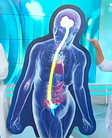 Проявления менопаузы 