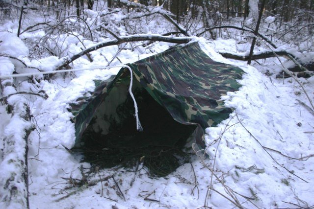 Убежище в лесу для выживания