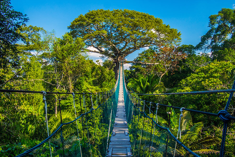 Фото: Pere Rubi / Shutterstock