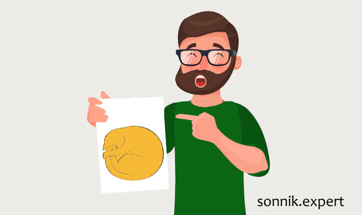 "Кошки спят клубочком" (автор sonnik.expert)