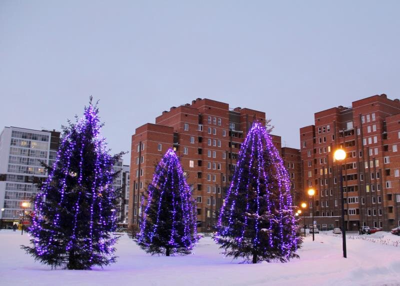 Томск северный. Город Томск Северный парк. Северный парк Томск зима. Северный парк Томск зимой. Северные ворота Томск.