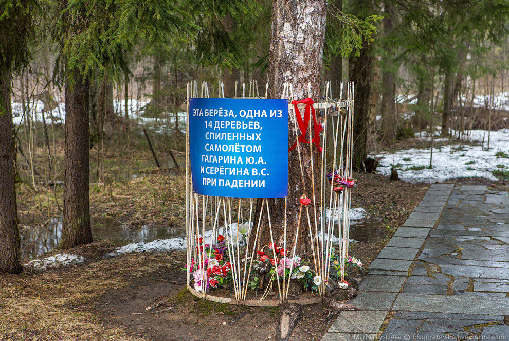 Сбитые при падении самолёта деревья