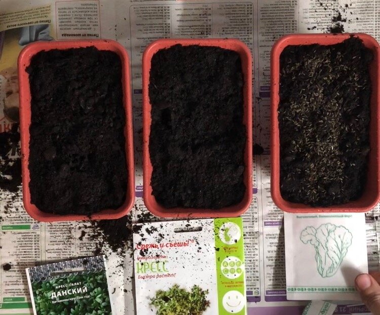 Грунт в горшочках