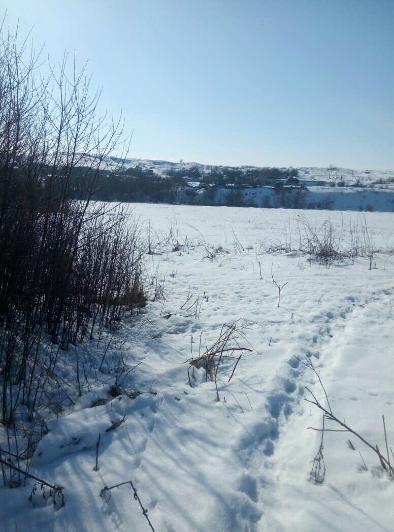 Вот на этом фото уже на краю речки его видно, вот пока волонтеры обошли он умудрился скрыться...