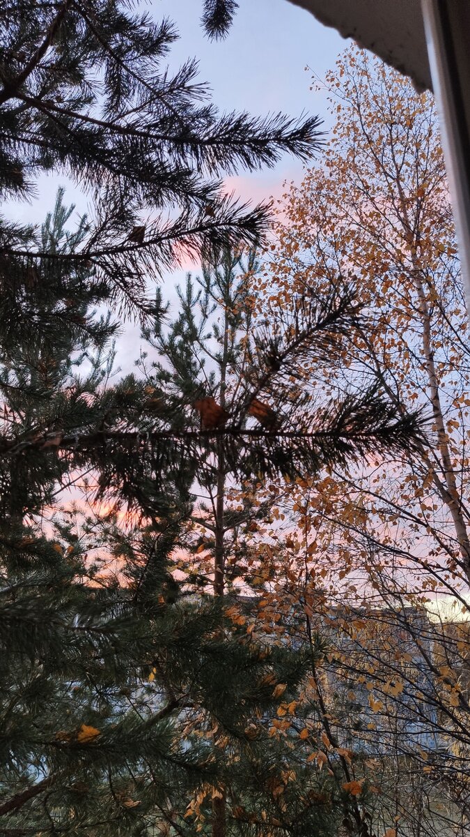 ВСЕМ ДО-БРА И ПО-ЗИ-ТИ-ВА!