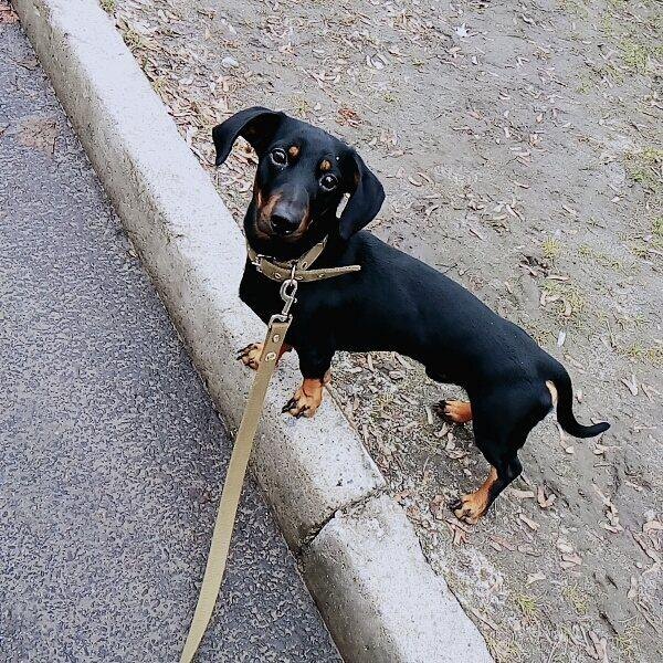 Из личного архива