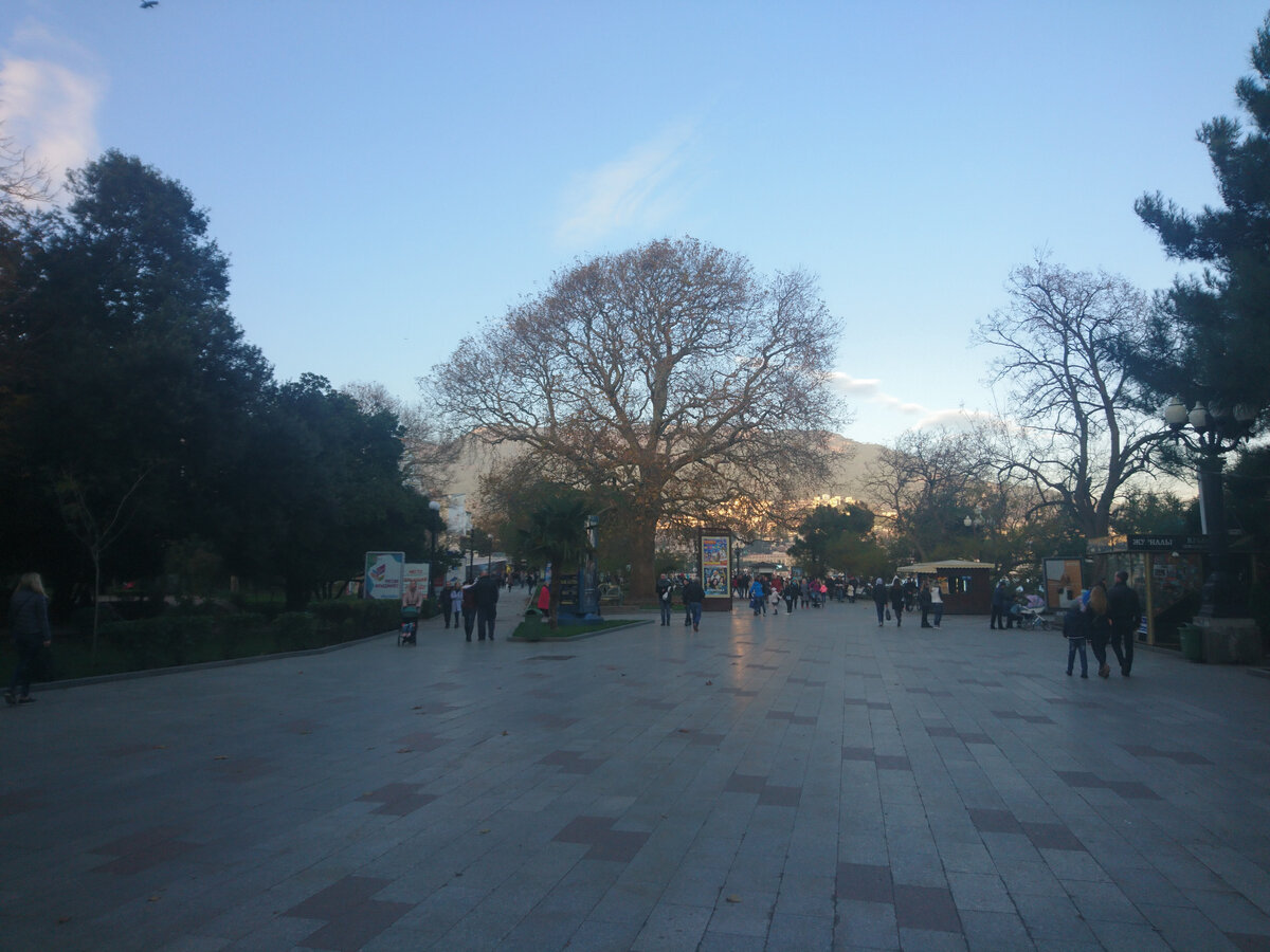 Зима, но в Ялте.