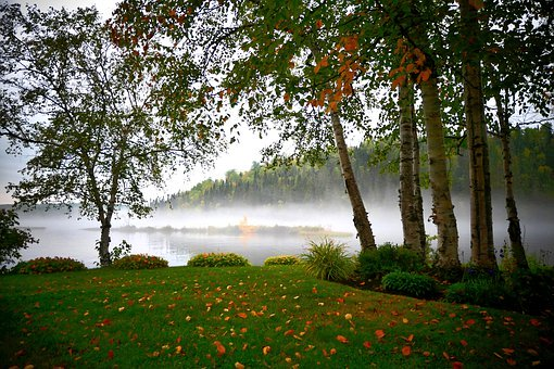 Источник фото - pixabay.com/ru/