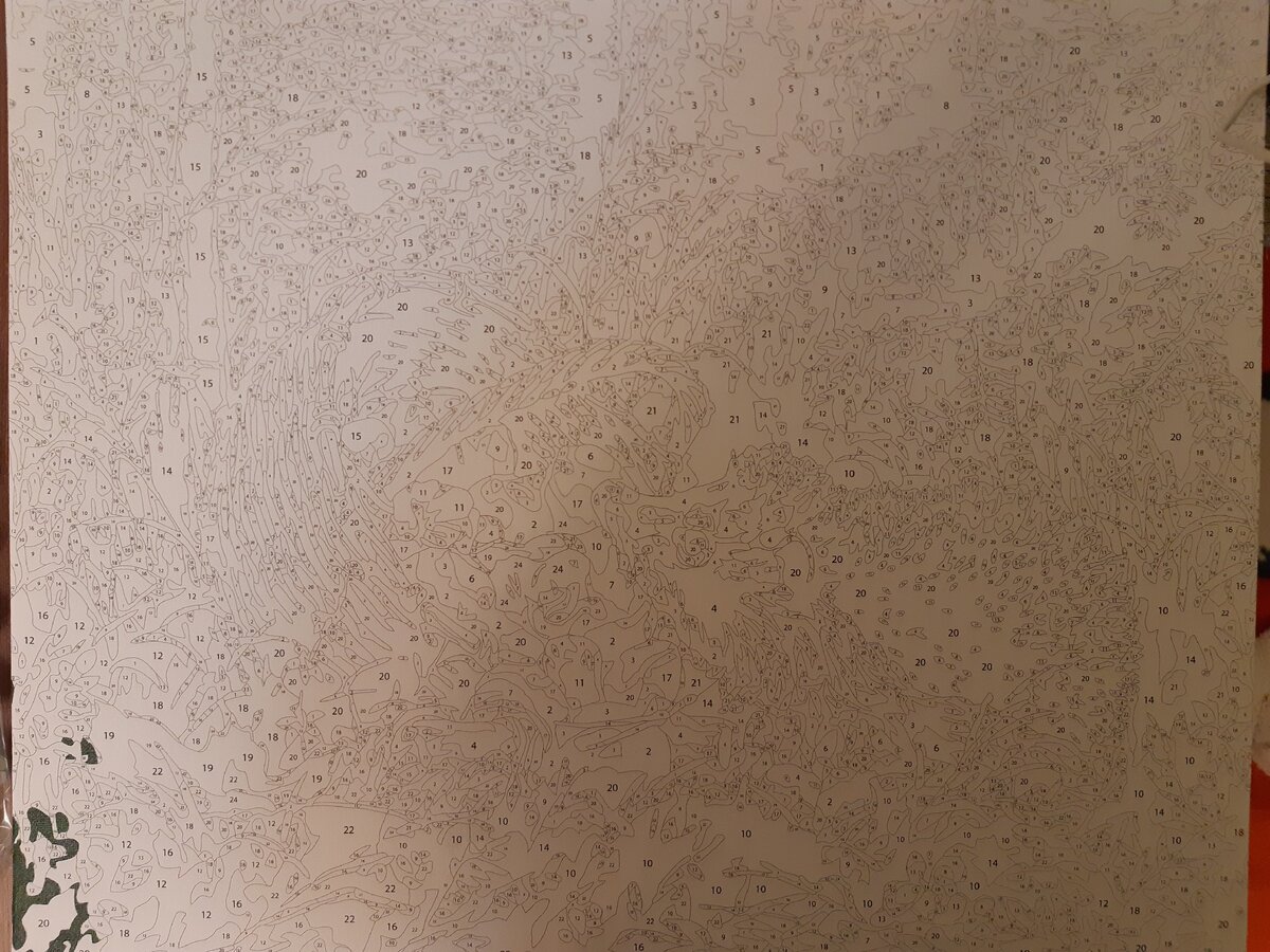 Личное фото автора. С краю, я уже опробовала краску