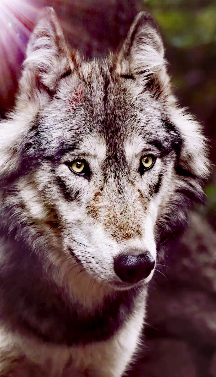 фото Яндекс.картинки