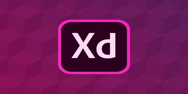 Adobe XD для начинающих