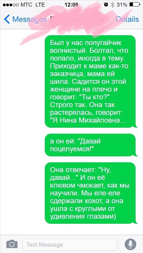 Любвиобильный попугай!