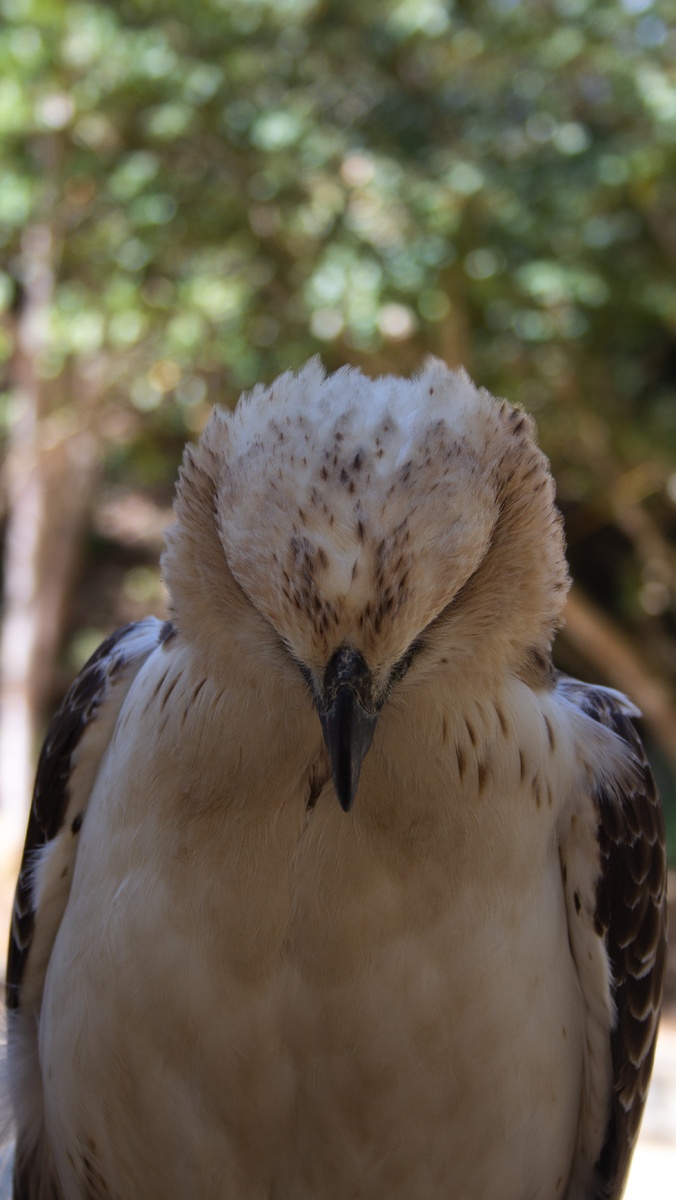 Грусть, тоска, печаль