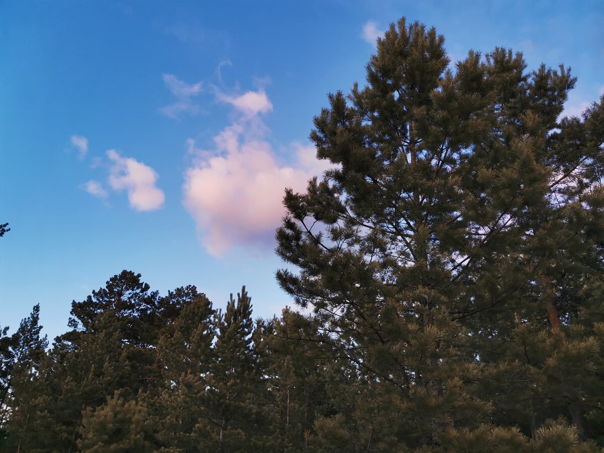 В наших отношениях было всякое. Но ни на секунду мы не позволяли оставить друг друга в трудных ситуациях.