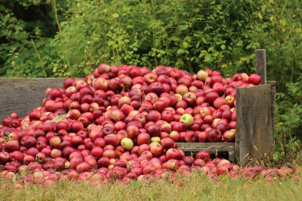 Надо же что-то делать с этим