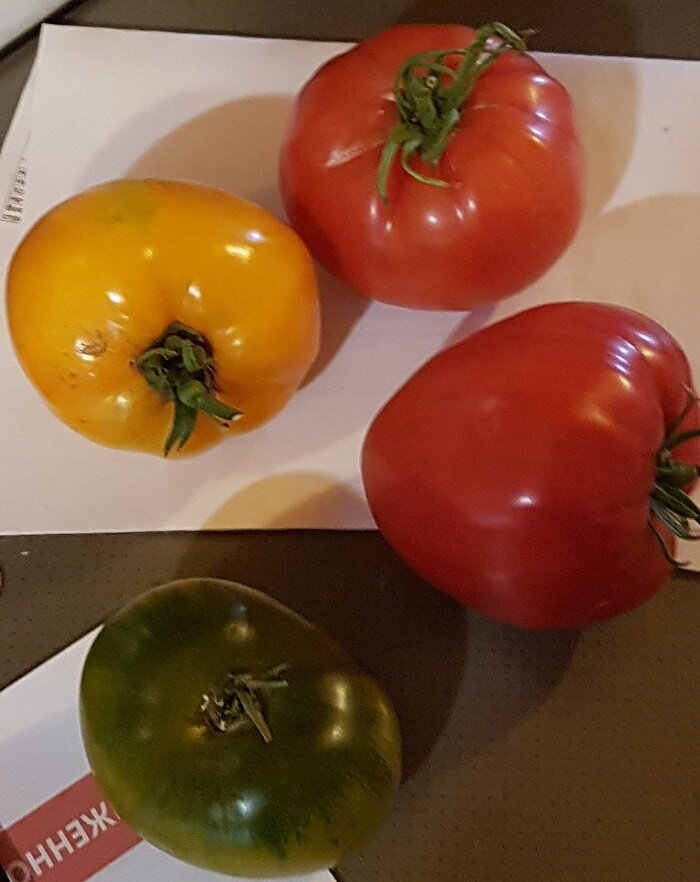 Листайте вправо.