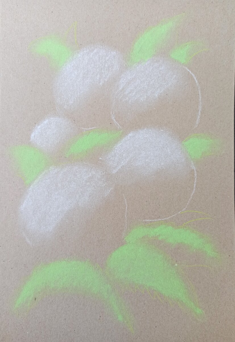 Светло-зеленым мелком произвольно рисуем листочки.