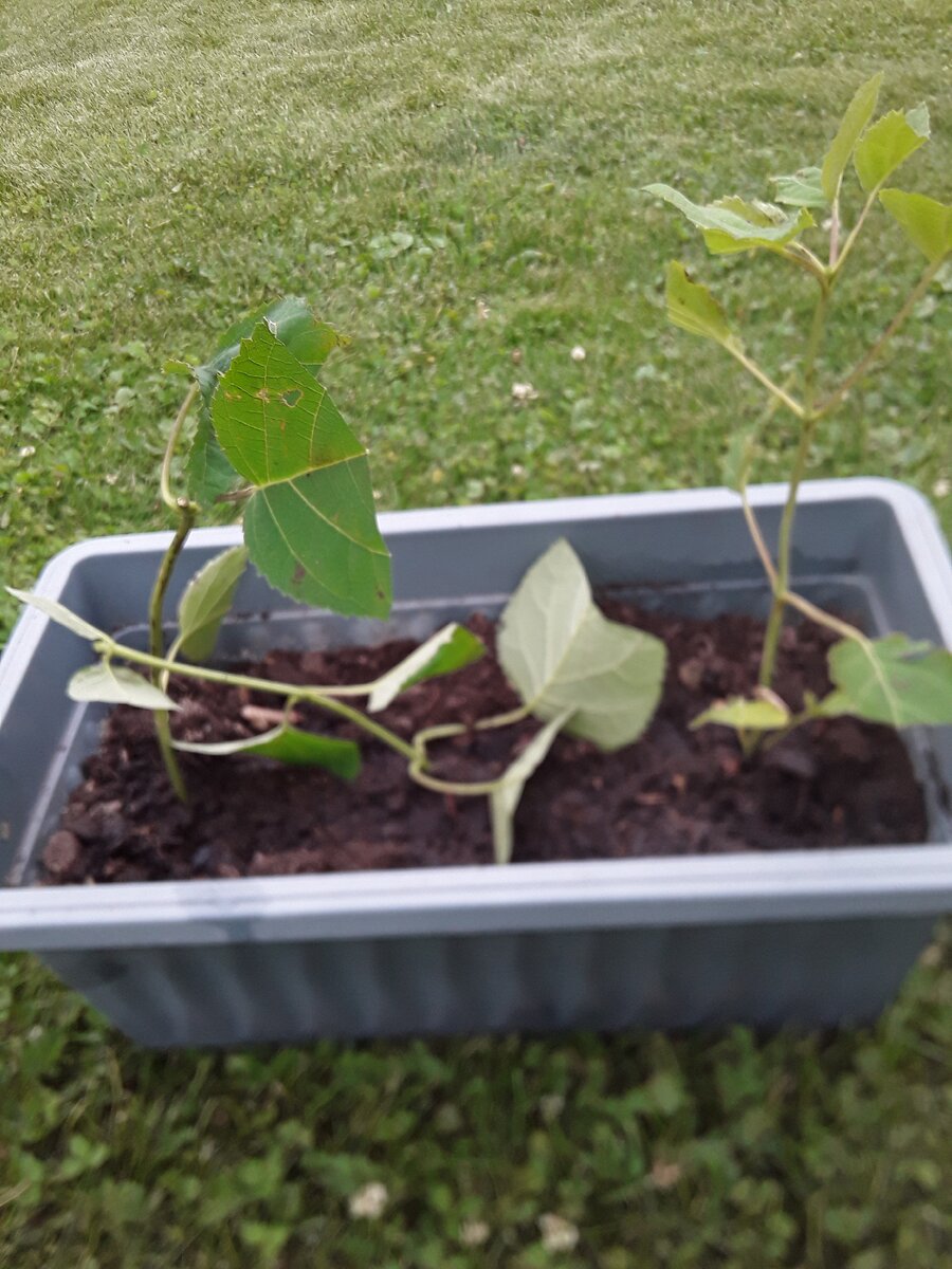 Осталось ждать!