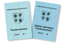 фото с открытого источника.