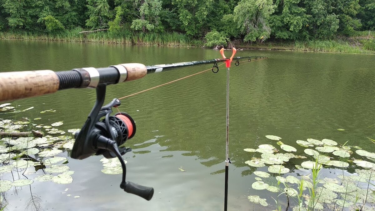 Ожидание поклевки