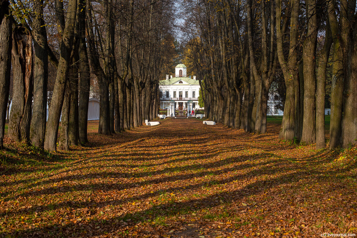 Фото усадьбы середниково