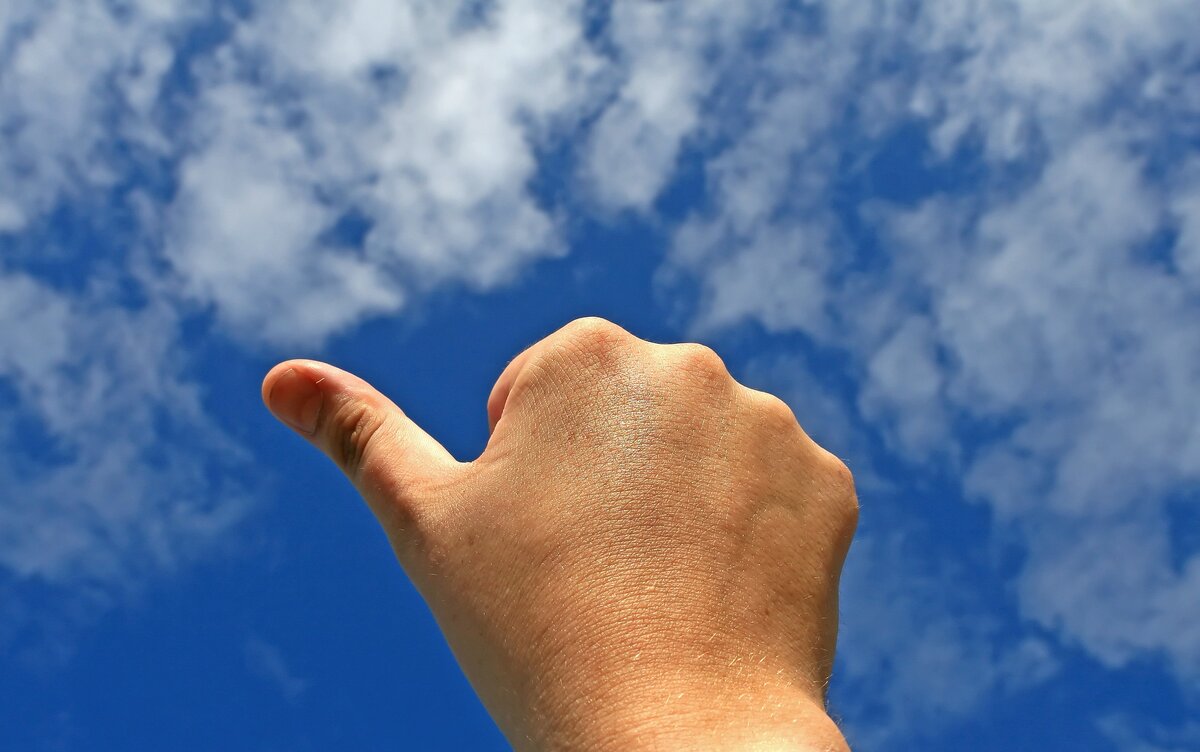 Фото из Pixabay.com