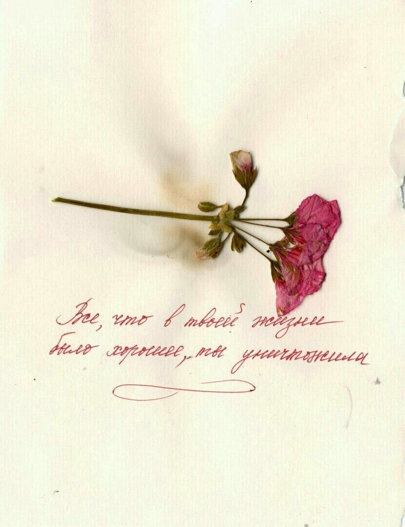 *фото с цитатой взято из открытых источников*