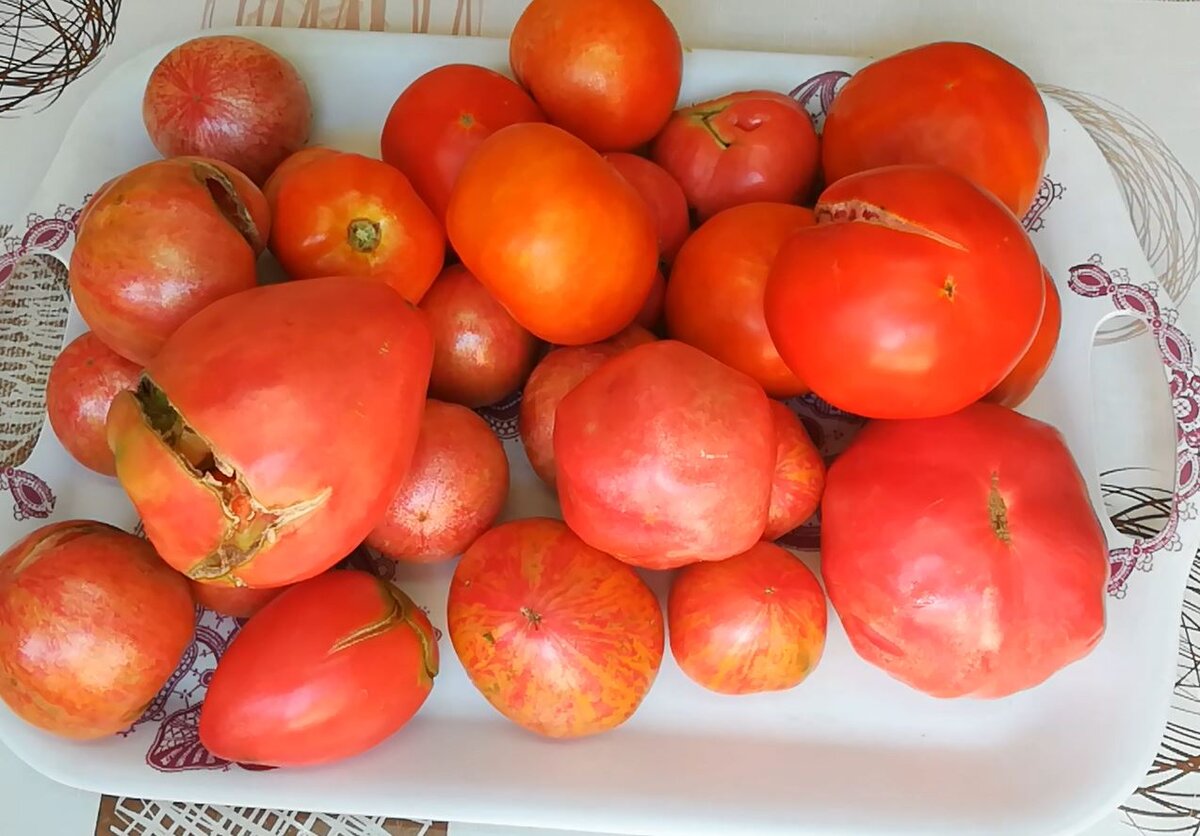 Урожай - какой он есть!