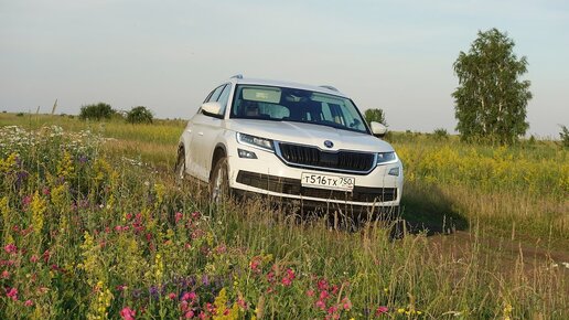 В Воронеже 29-летняя девушка на Chevrolet протаранила патрульный автомобиль Skoda: видео