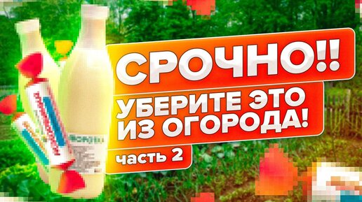 МОЛОЧНАЯ СЫВОРОТКА, ЙОД, ВАЛЕРЬЯНКА и ДРОЖЖИ НЕ СПАСУТ ВАШИ РАСТЕНИЯ! ПОЧЕМУ? ОТВЕЧАЕМ НА ВОПРОСЫ