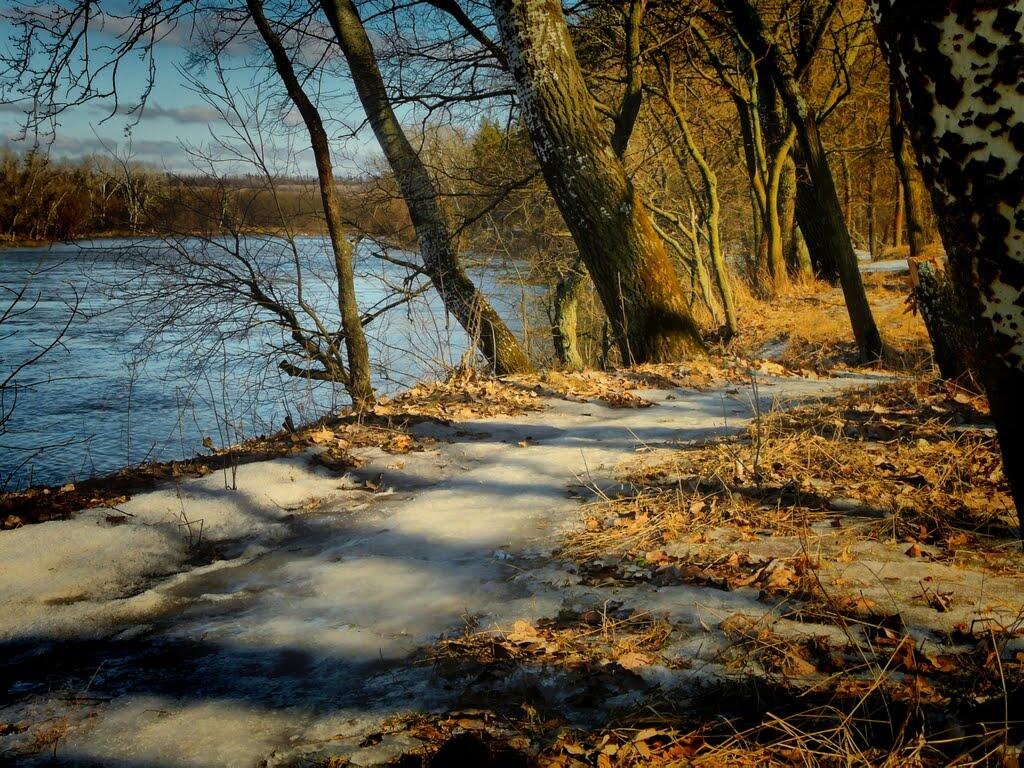 Фото из открытого источника Яндекс 