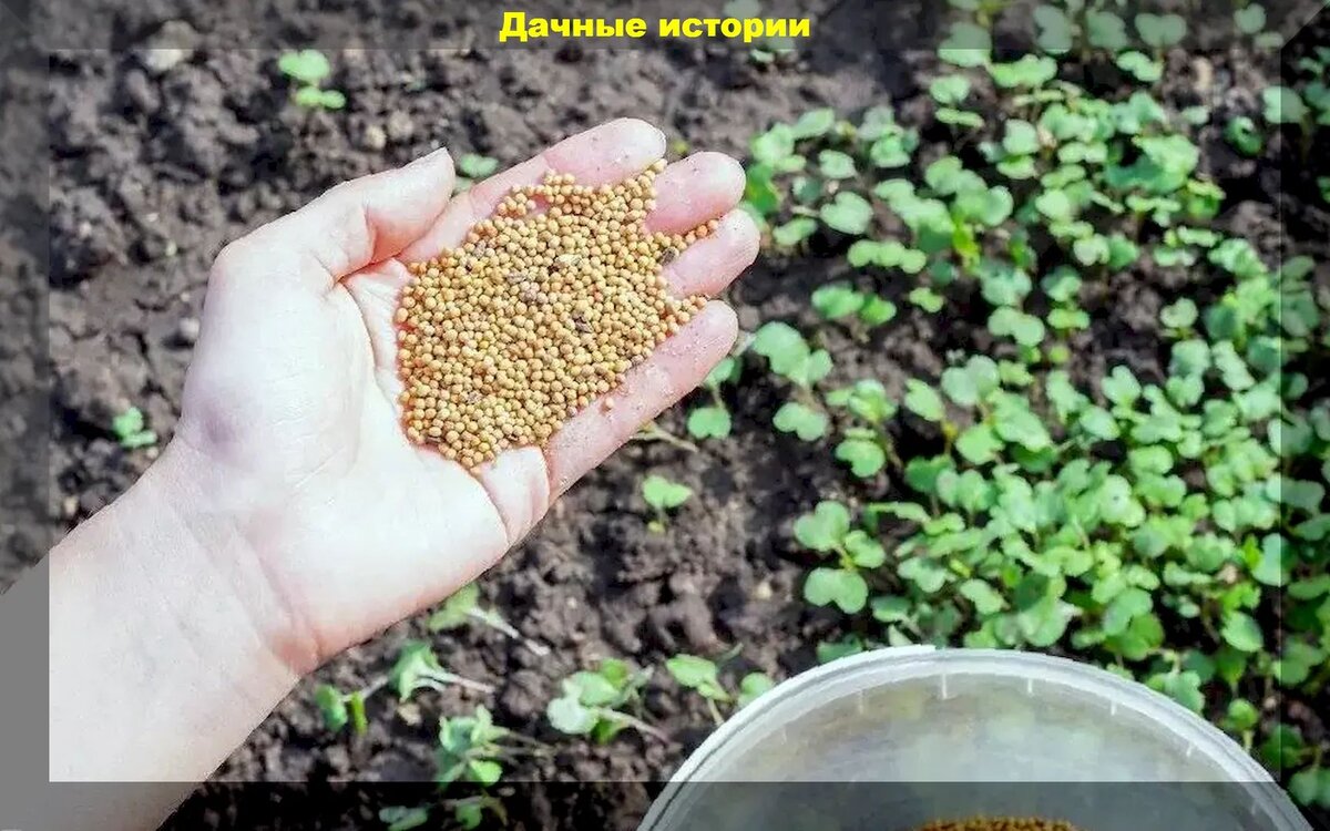 https://vk.com/photo-159774511_457249057