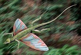 И его реконструкция