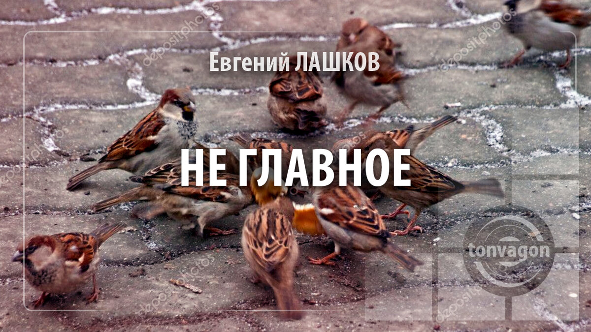 Стихотворение участвовало в конкурсе проекта ТОН-ВАГОН