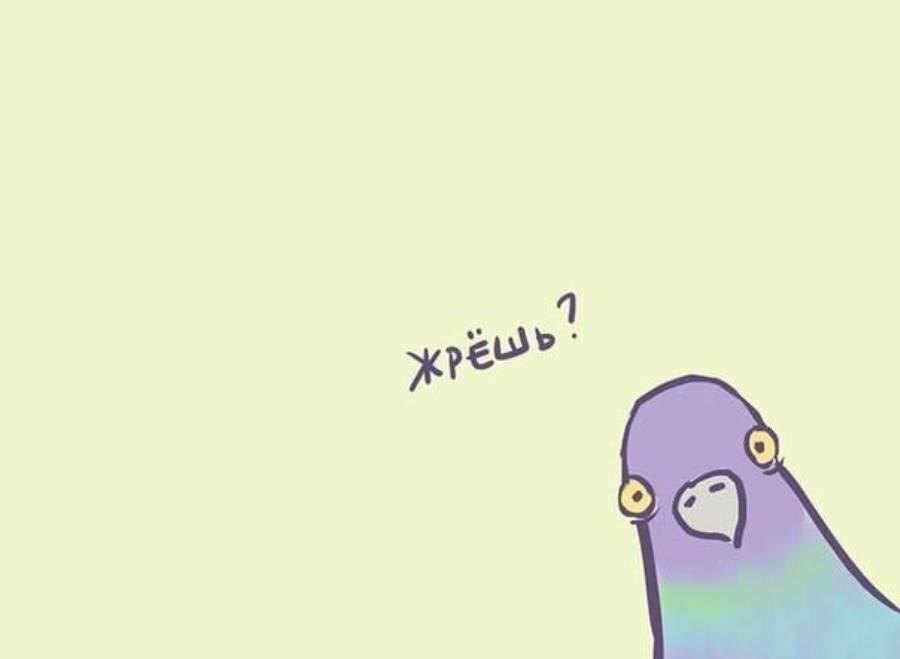 Картинка из интернета