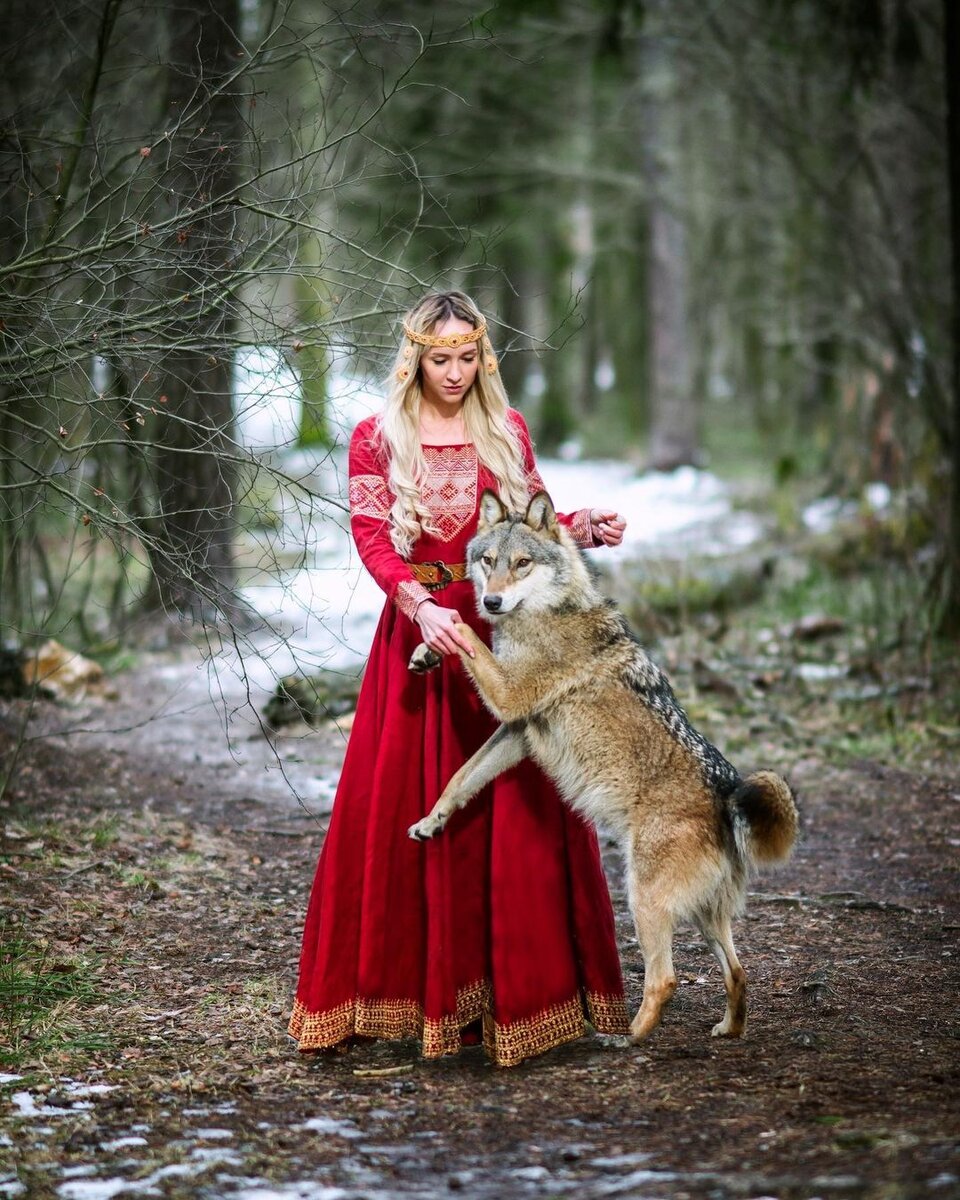 царевна и серый волк. царевна и серый волк картина. царевна и волк. волчья царевна. царевна и серый волк картина.