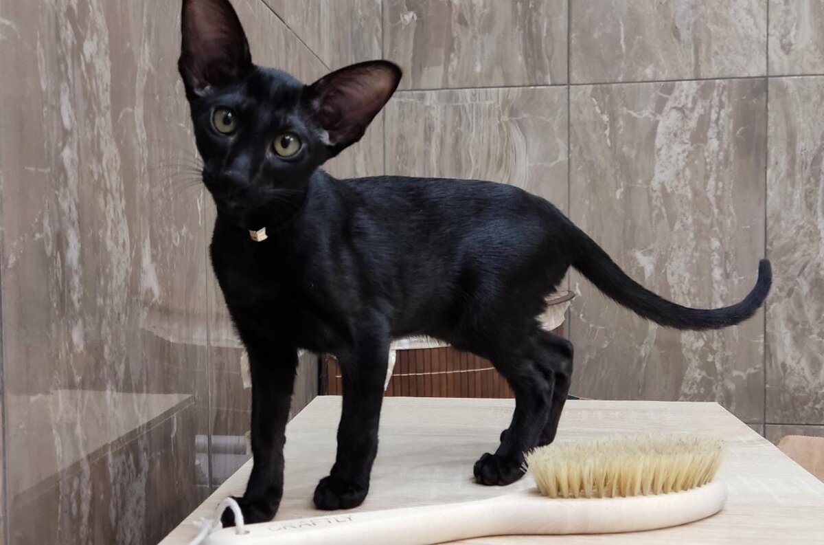 Люся любит купаться