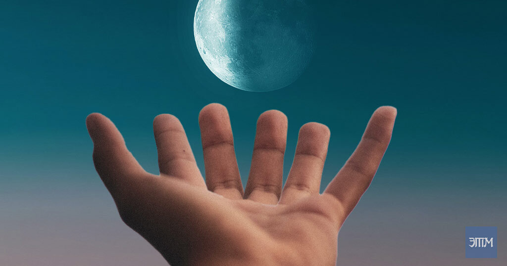 Изображение: собственный коллаж