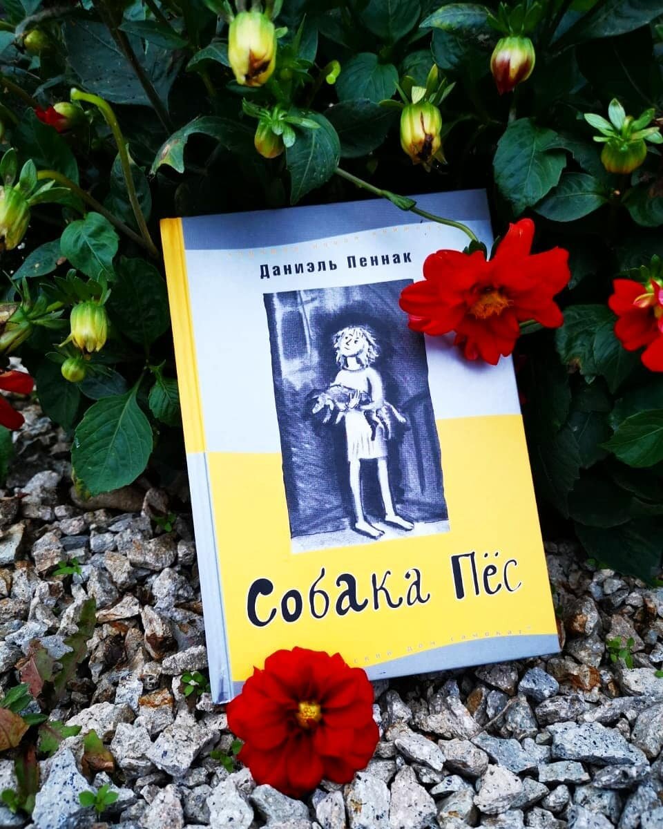 Фото probooks.evarina
