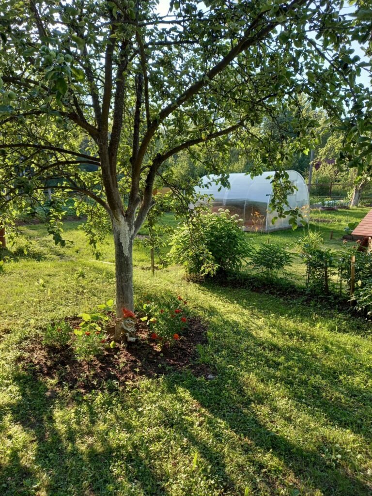 Если есть повреждения на коре яблони