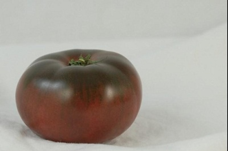 Источник фото - https://goo.su/ZTjY2oL