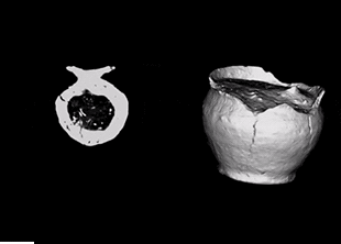 Институт археологии РАН / Youtube