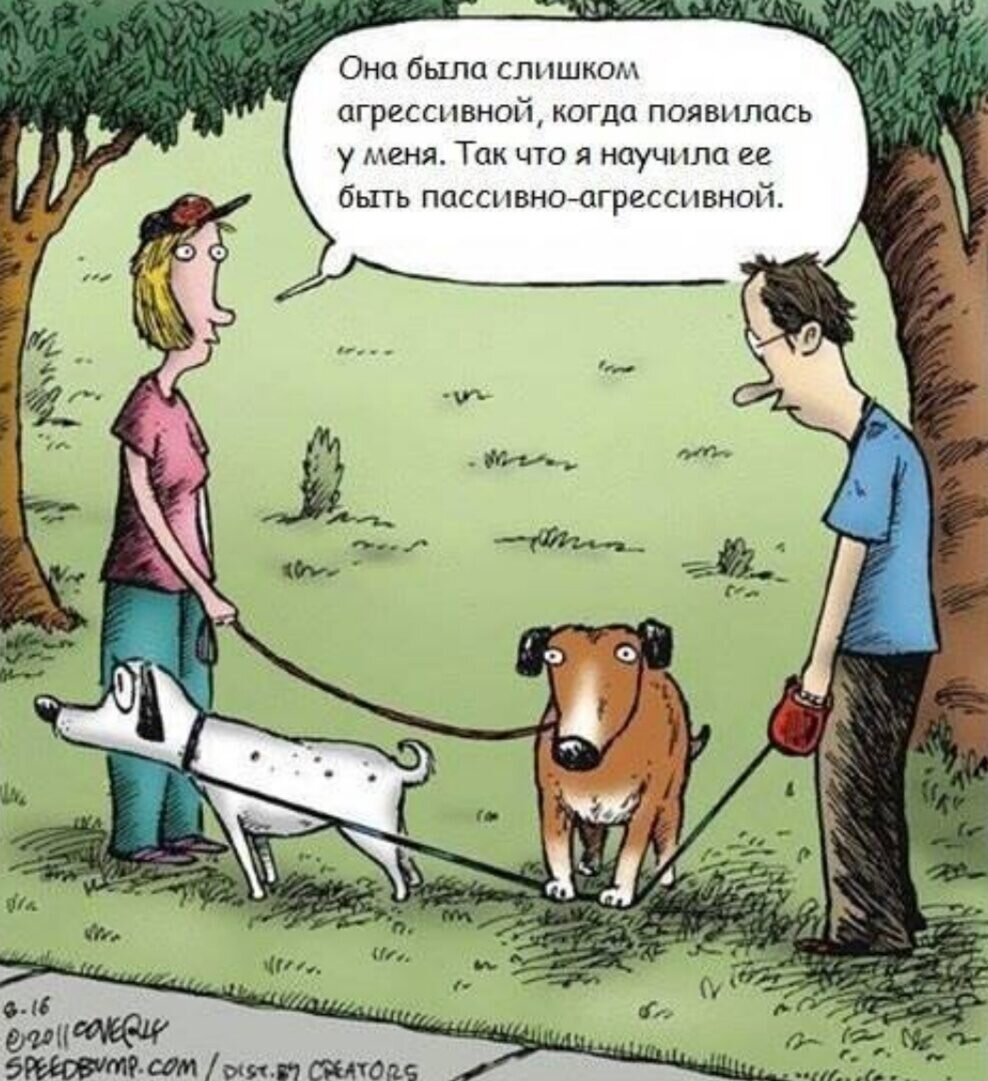 Картинка из Pinterest