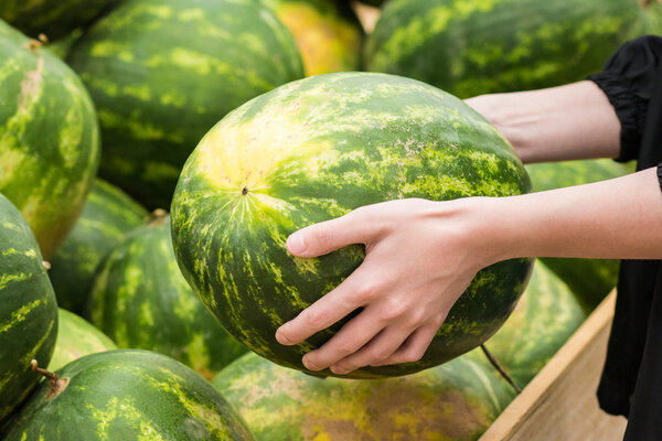 Обложка © shutterstock