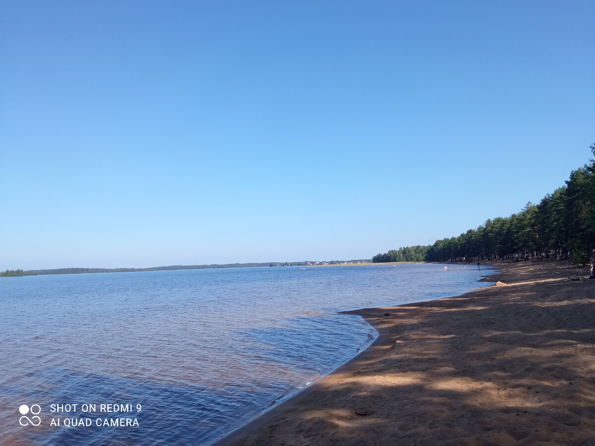 Сямозеро цвет воды коричневый почему