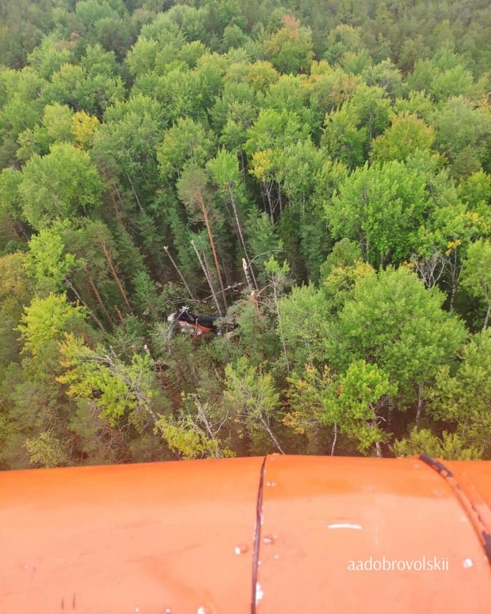 Фото: Алексей Добровольский / ТГ