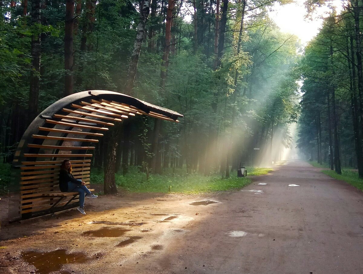 лесная чайная в мещерском парке зимой