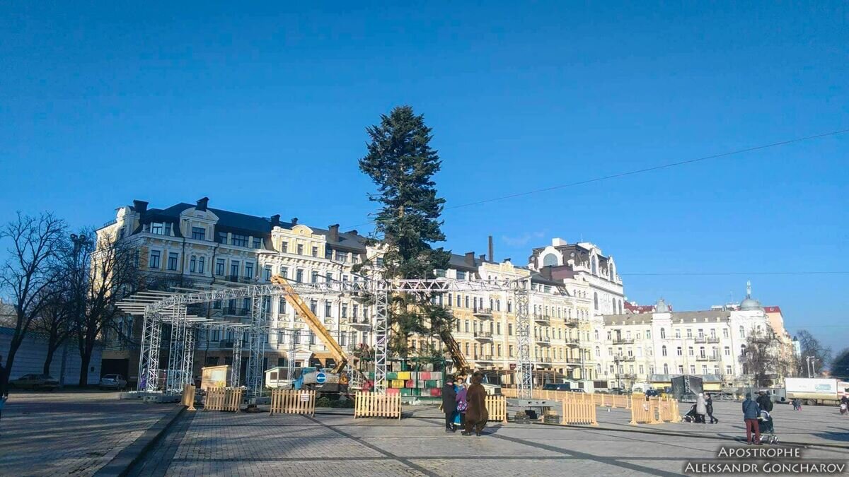    Новогодняя елка в Киеве© Фото : Александр Гончаров / Апостроф